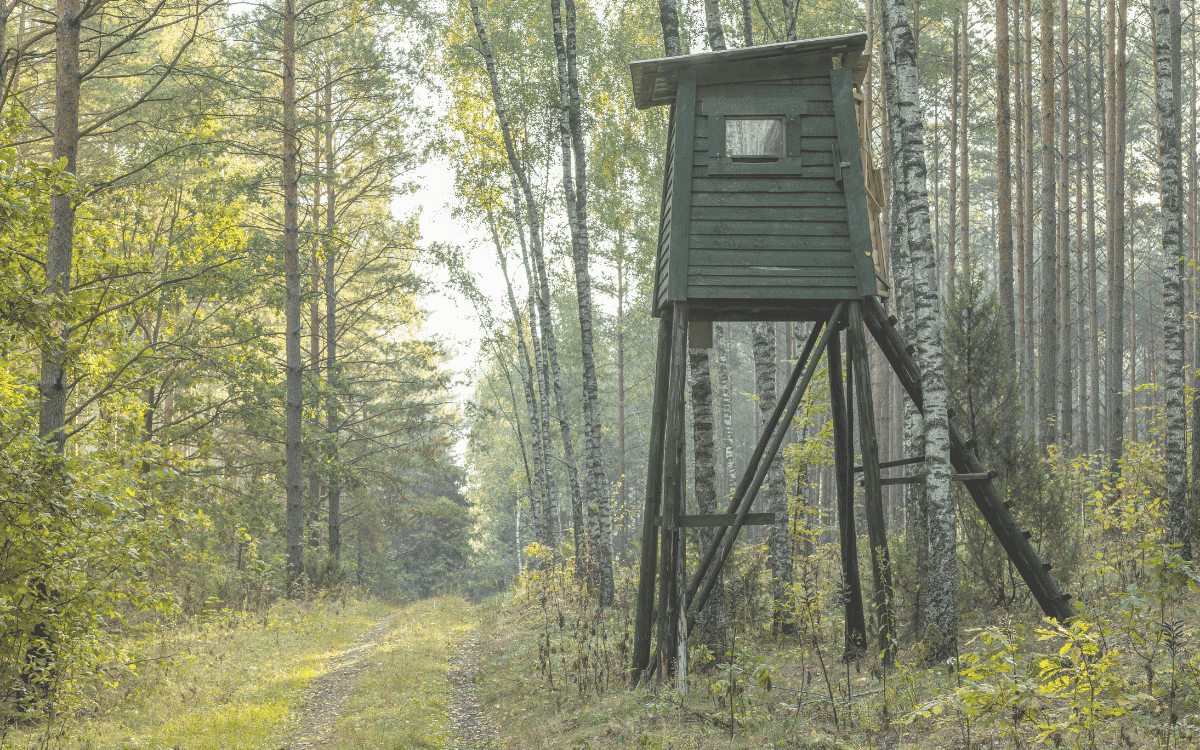 Buying or Selling a Hunting Property in Northwest Arkansas: What You Need to Know